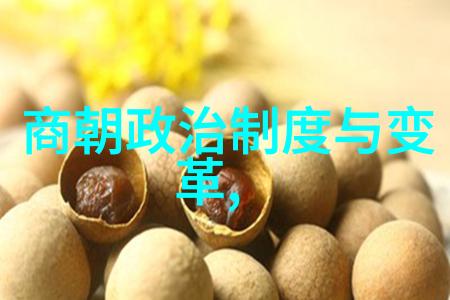 南宋时期的外交策略与国际关系