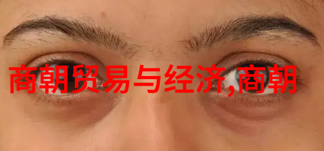 南明朝历代君主顺序列表从弘光帝到永曆帝的转变