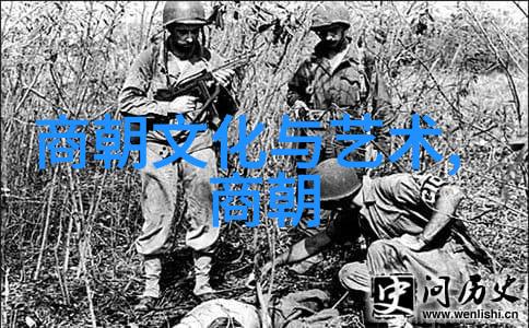霍元甲军事视频网中的武术秘籍