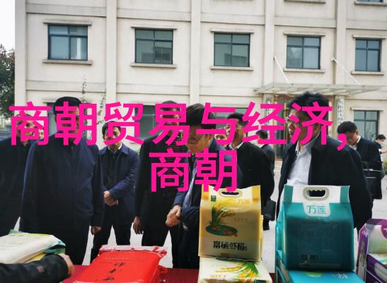 明未四大奇案-揭秘明朝末年四大震惊案件权谋与命运的交错