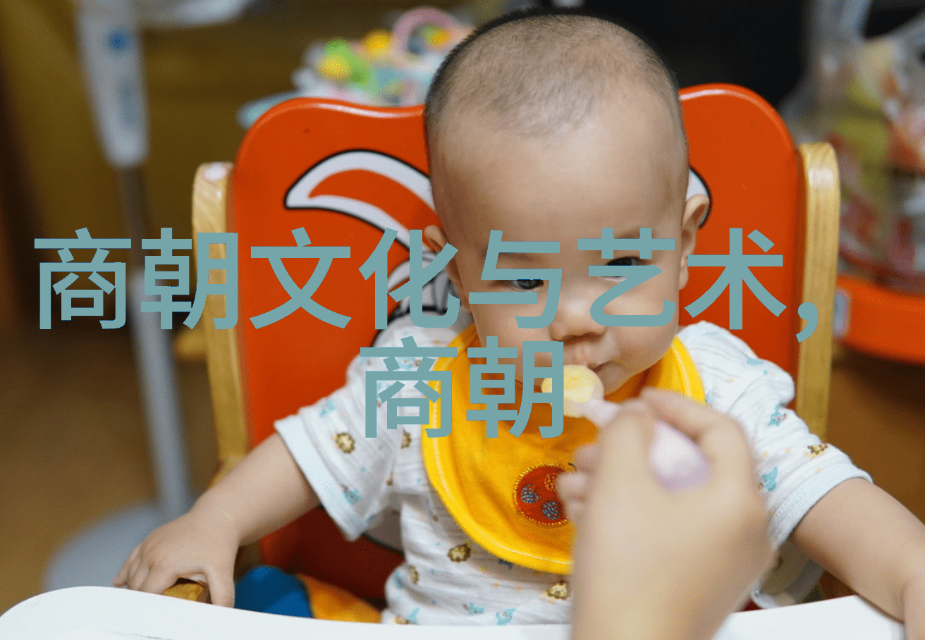 明末之谜紫禁城内的隐秘密ariat