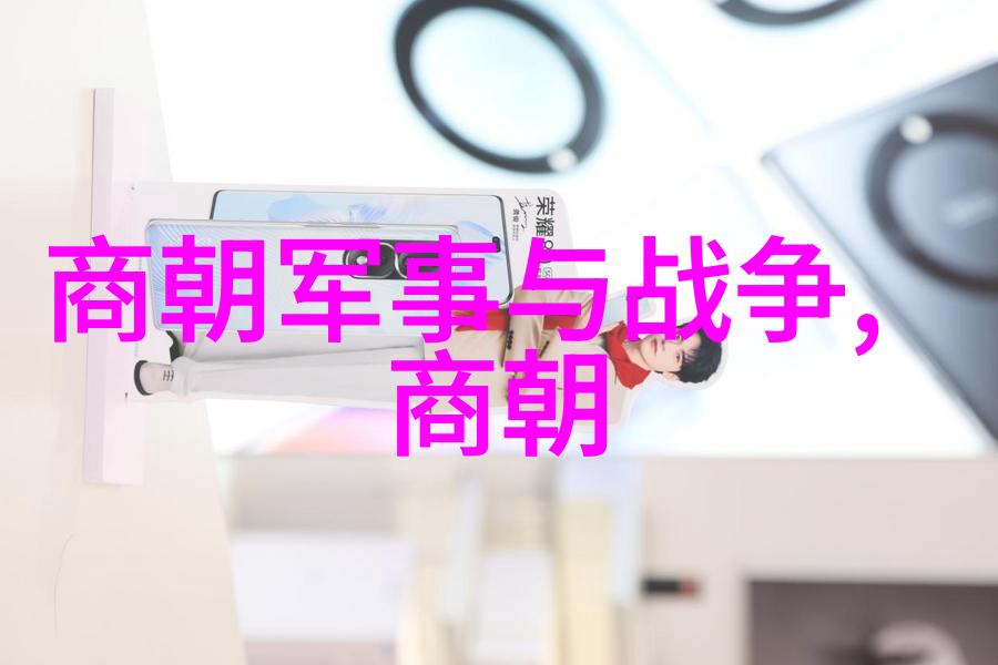 龙椅之争朱棣夺位的历史必然
