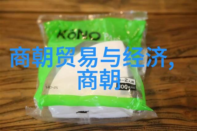 南明政权成立后所面临的问题及解决措施