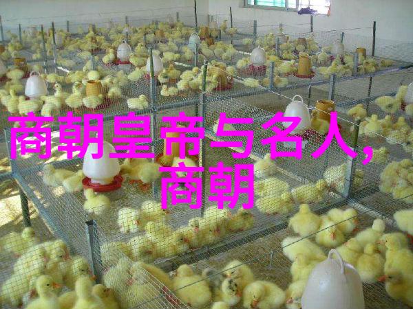 最新中文字幕免费观看高清电影电视剧高质量影视娱乐资源