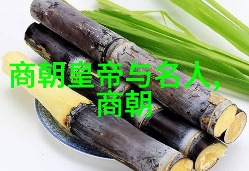 刘伯温逝世后朱元璋悲痛欲绝明朝开国皇帝对智者深情的悼念