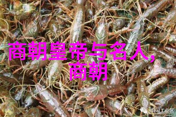 时光里的爱最美好的开始