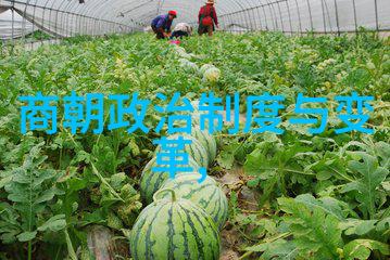 辽金之谜历史的遗忘与记忆的重铸