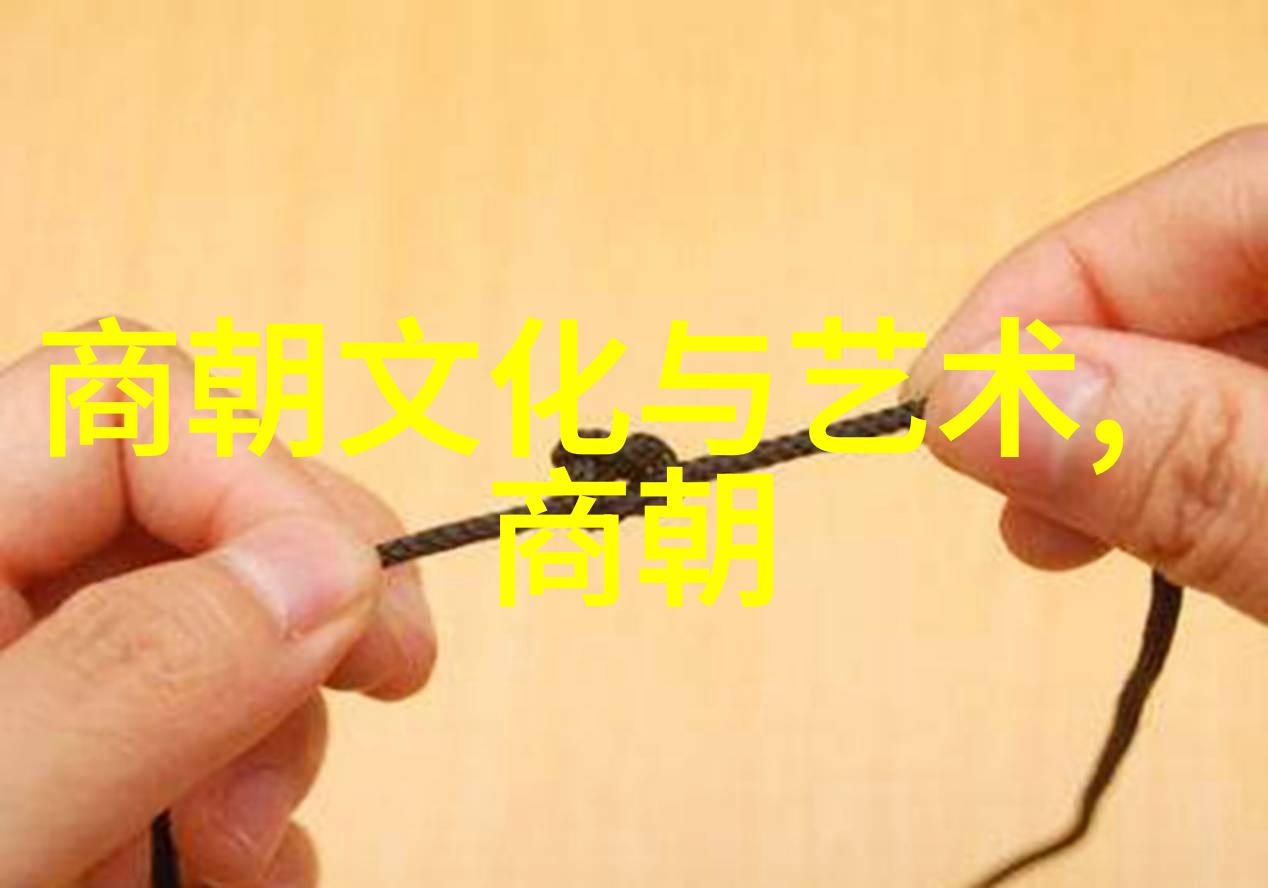 从元到清国家建设模式转变研究