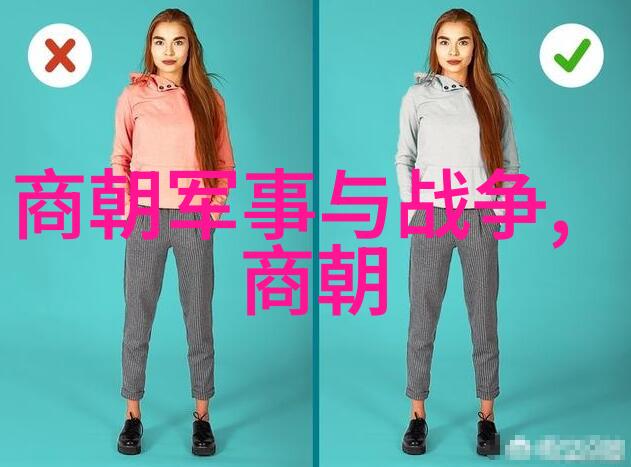 南宋历史简介从靖康之变到元朝入主中原的辉煌与凋零