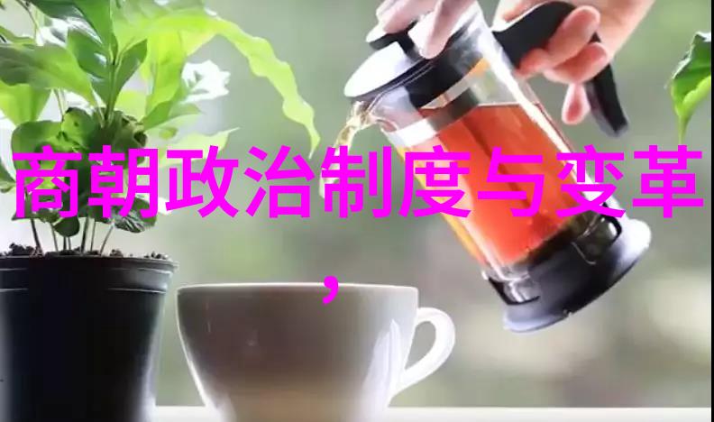 明孝宗朱祁钰政治稳定与文化繁荣的时期