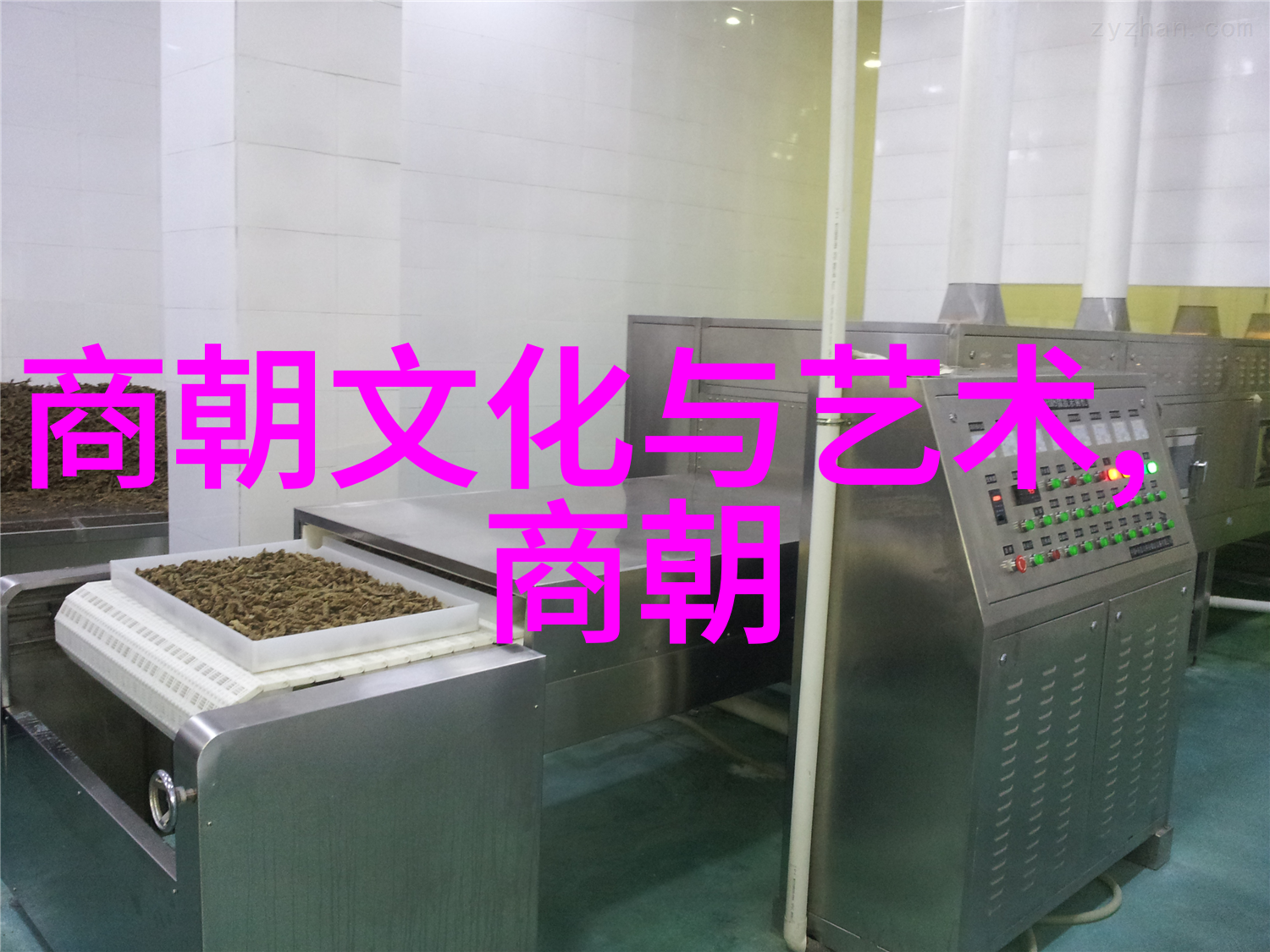 元朝的历史地位探究中国朝代体系中的独特性与影响