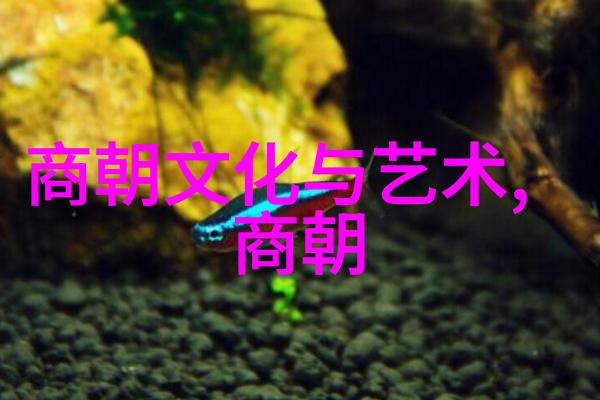 明朝咱们来看看这些大佬的能力排行榜吧