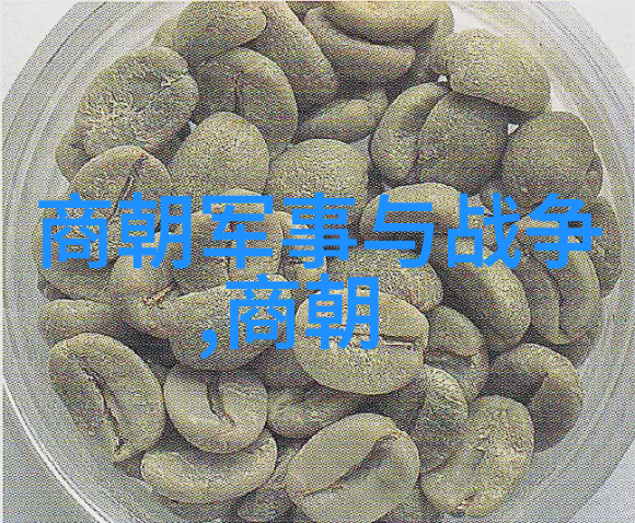 张作霖的中国战斗机激情与荣耀的共鸣