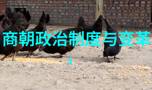 五代十国之乱战乱中的中国政治经济考量