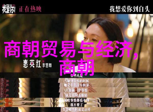 元朝完了是哪个朝代-明朝的征服与开创揭秘元末之变局
