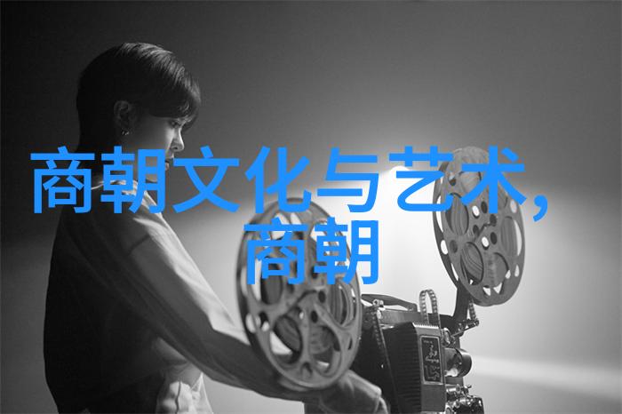 明朝趣闻录揭秘大鹏所城建于何时的古老物品故事