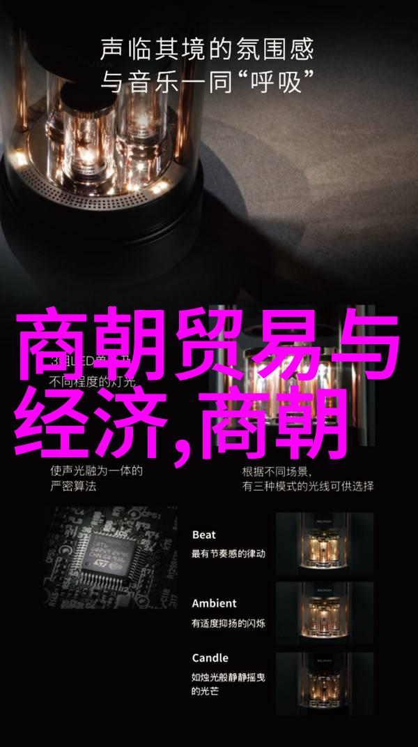 风华绝代南宋的辉煌与挣扎