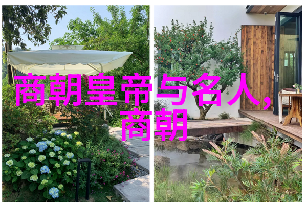 当涂县太极拳呼吸法的精髓与实践之道