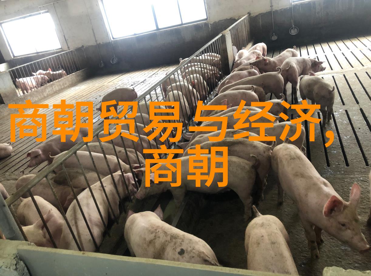 华语乐坛最厉害的女歌手100名中国唱功女歌手在自然之美中绽放