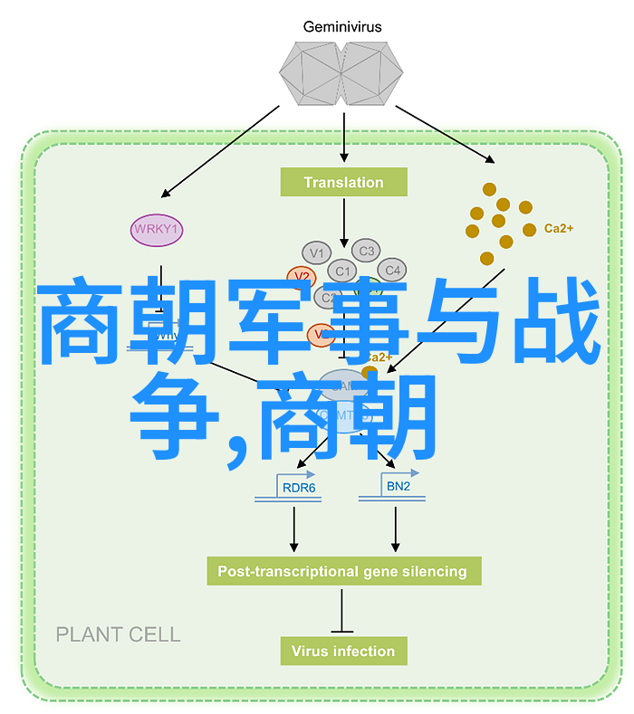 中国哪里来的5000年历史我国古老的面纱揭秘那五千年的神秘
