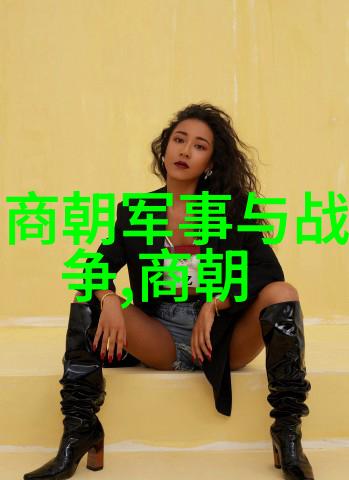 明朝历史中国明代的辉煌历史