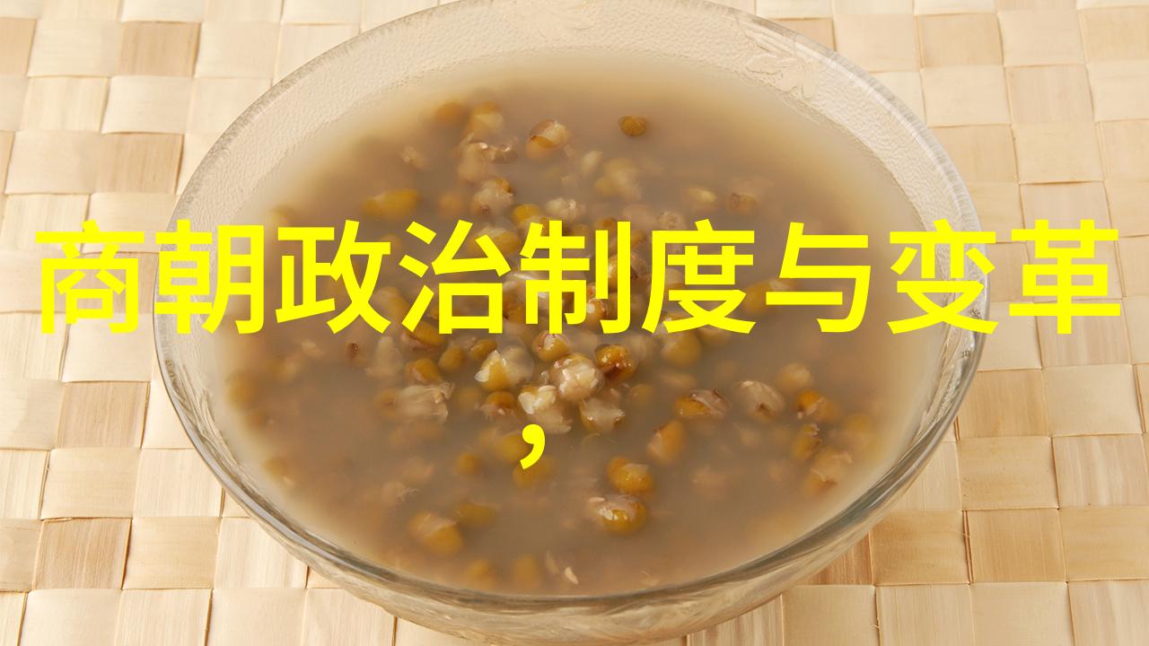 明朝历史视频播放方法研究探索传统文化与现代技术的结合