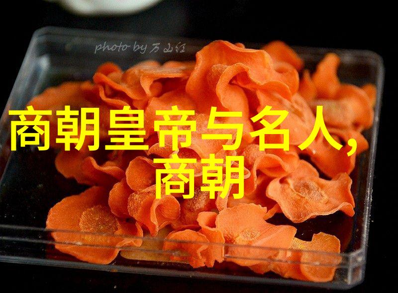 秘案揭秘明代四大谜团的真相追踪