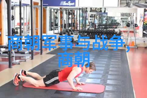 法治建设与司法体系改革从朱元璋到崇祯帝