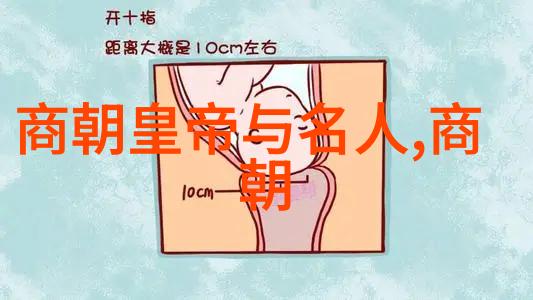 明朝君主的辉煌与衰落帝王之家中的排位之战