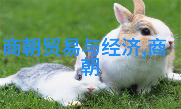 朱祁镇为什么能够获得大明战神的称号