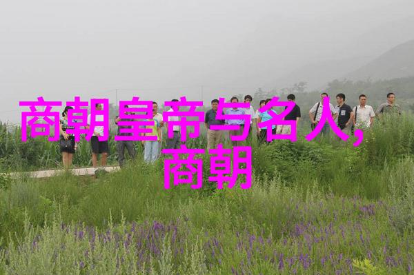 探秘野史趣闻揭开古今奇闻轶事的书籍宝库