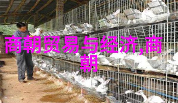 朱棣子孙短命家族遗传问题与外部环境因素