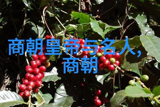 中国朝代历程图谱时光穿梭的历史长廊