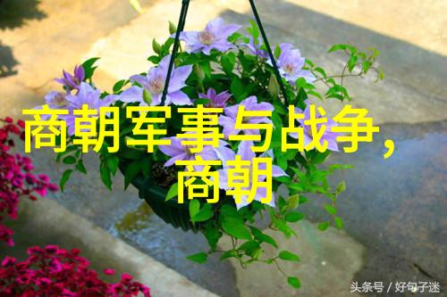 明朝中国历史的巅峰与世界影响力的传承