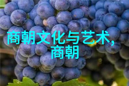 明朝覆灭之谜一个无昏君的衰亡序章