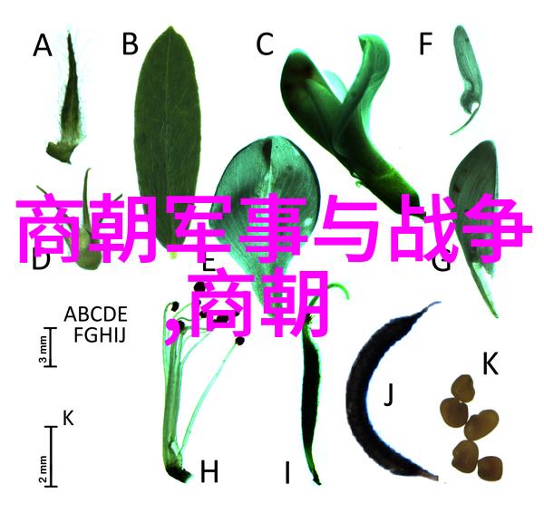 明朝太后孙若微的历史足迹追寻隐匿于史册中的女性力量
