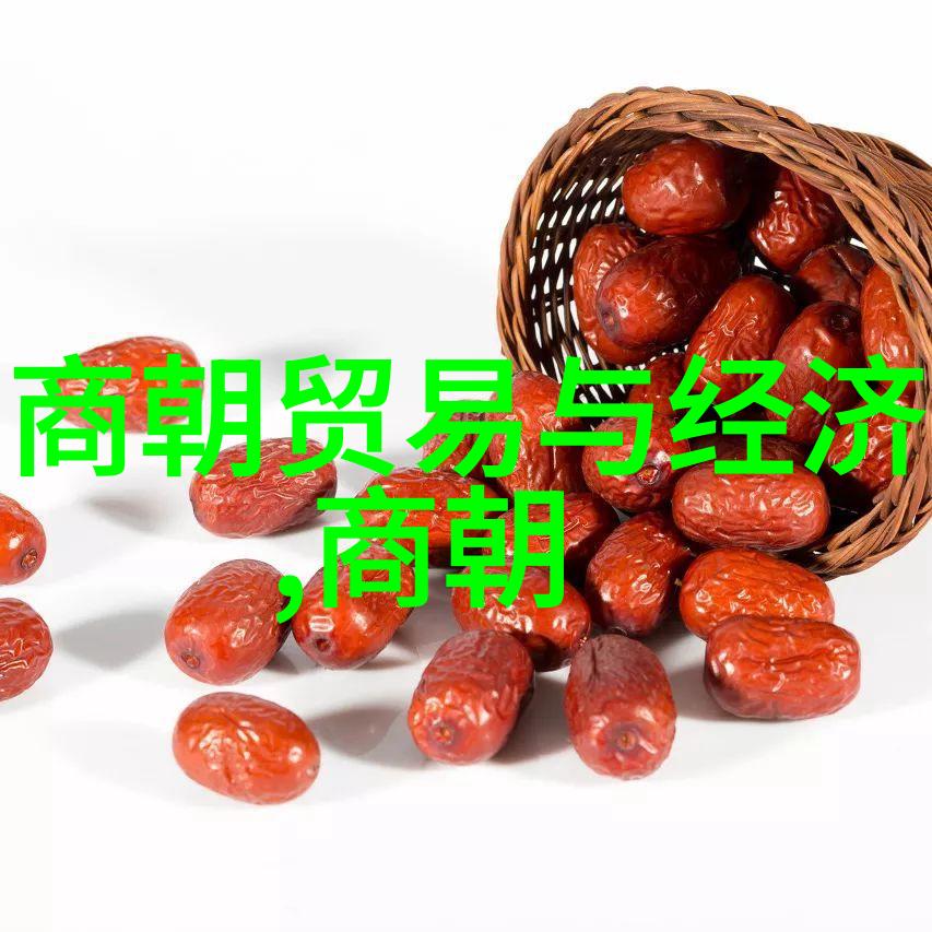 孙若微大明皇后的生活与影响
