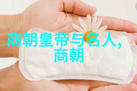 锦衣卫秘密明朝那些事儿中的神秘杀手