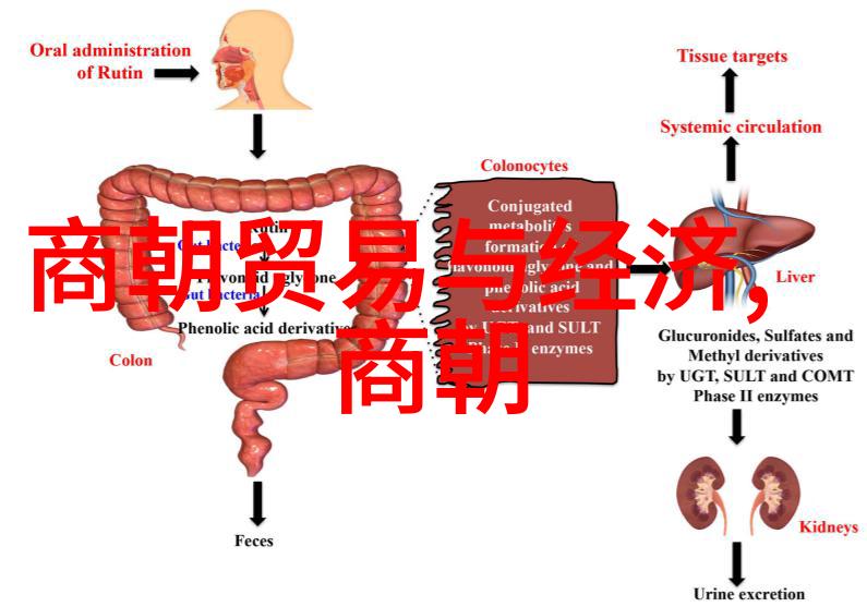 历史长河探索中国25个朝代的顺序与变迁