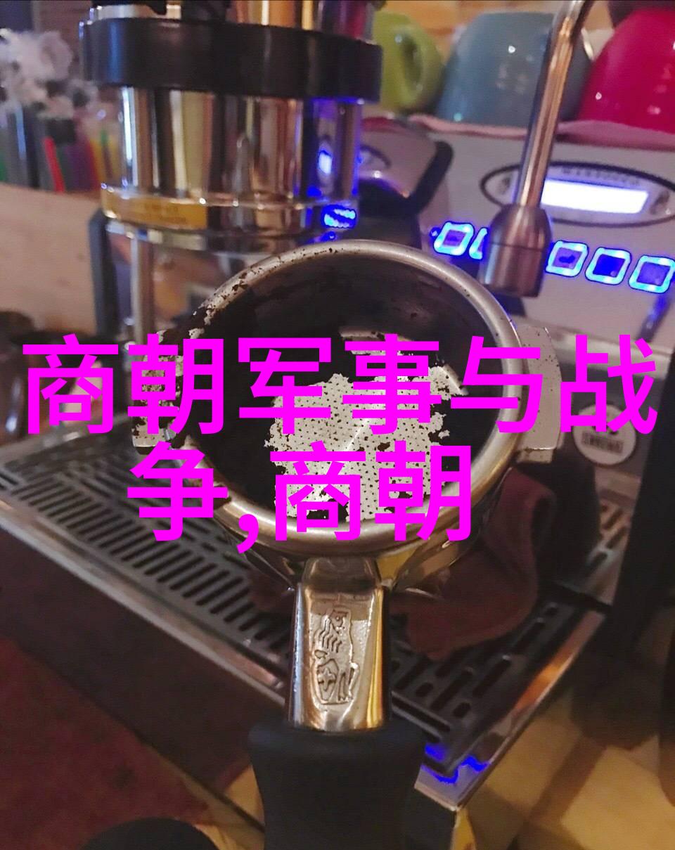 明朝对外关系边疆扩张与对外贸易