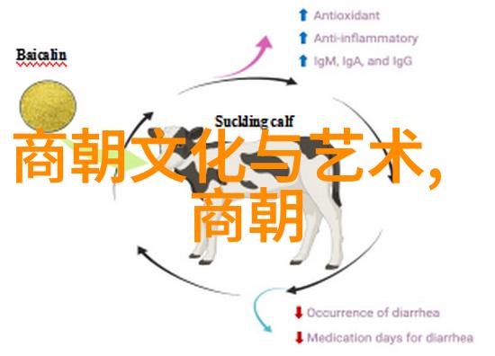揭秘中国奇闻录十大不可思议的事件