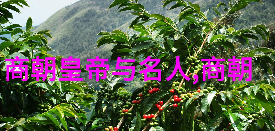 明朝那些事3龙潭水帘下的秘密