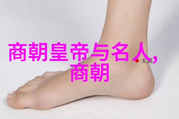 明朝的遗风清朝不屈不挠的领土守护者