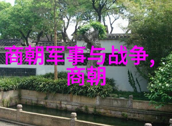 张雨生中国十大男歌手唱将中的情感之声