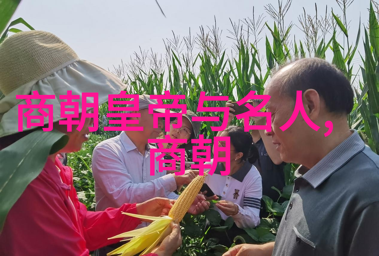 明朝朱常洛逝世后福王朱由崧未能继位原因探究明朝皇室继承权争夺政治斗争与权力转移