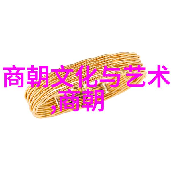 崔恭中国学信网的学术之星