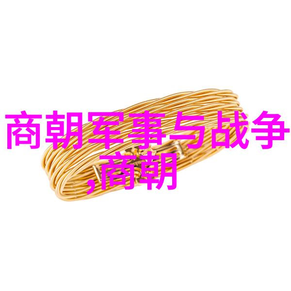 明朝皇帝世系考究权力传承与血缘纽带