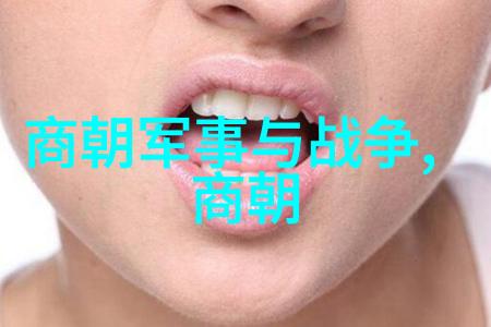 宋朝简介及历史概述我眼中的宋朝从北宋到南宋的辉煌与坎坷
