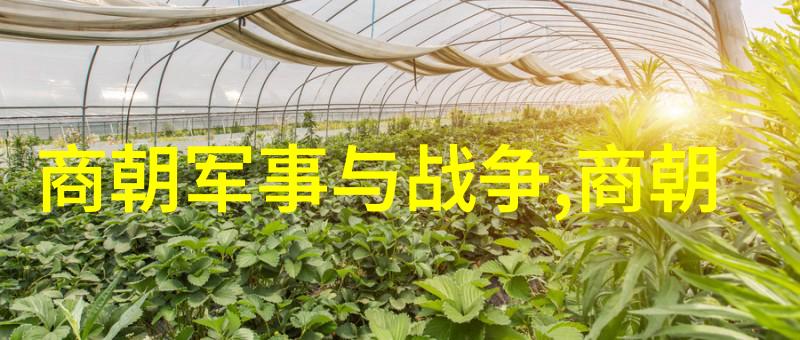 明朝历史中的奇谋险策揭秘明朝皇帝与大臣的权力斗争