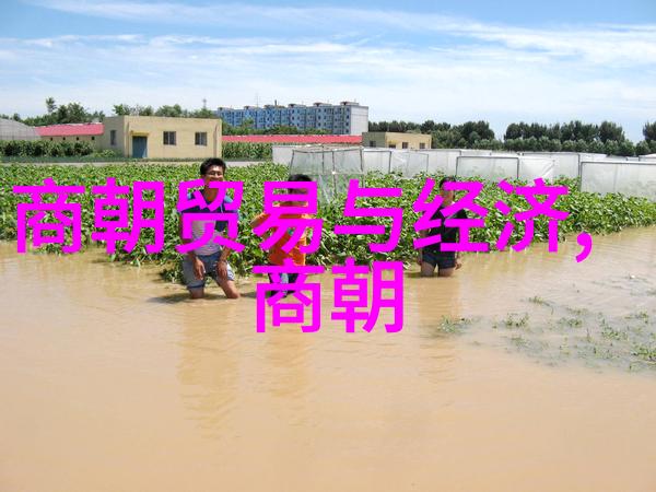 明朝历史朝代排名顺序之谜历经辉煌与衰落的真实排行榜在哪里